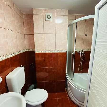 Guest house Vila Mirela *