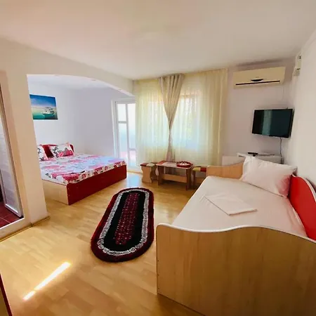 Guest house Vila Mirela *